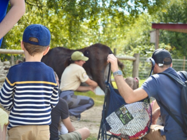 Animation pédagogique sur la récolte du lait frais d'ânesse et les secrets de Cléopâtre