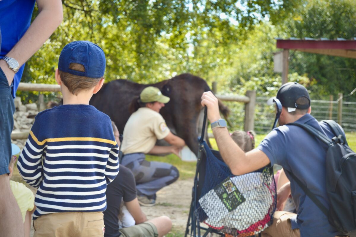 Animation pédagogique sur la récolte du lait frais d'ânesse et les secrets de Cléopâtre