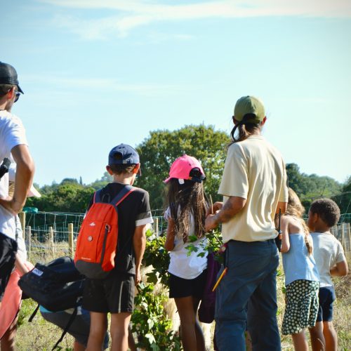 Animations & accueil scolaires et CSC au Parc Du Coq à l'Âne