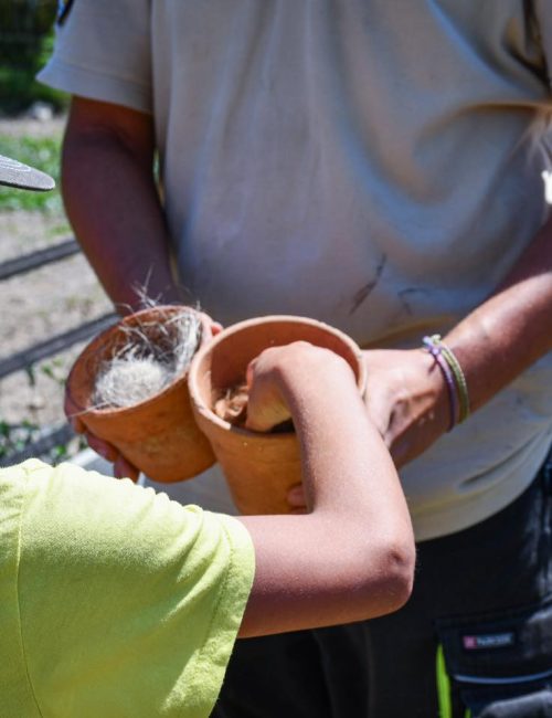 toucher-la-laine_parc-ducoqalane